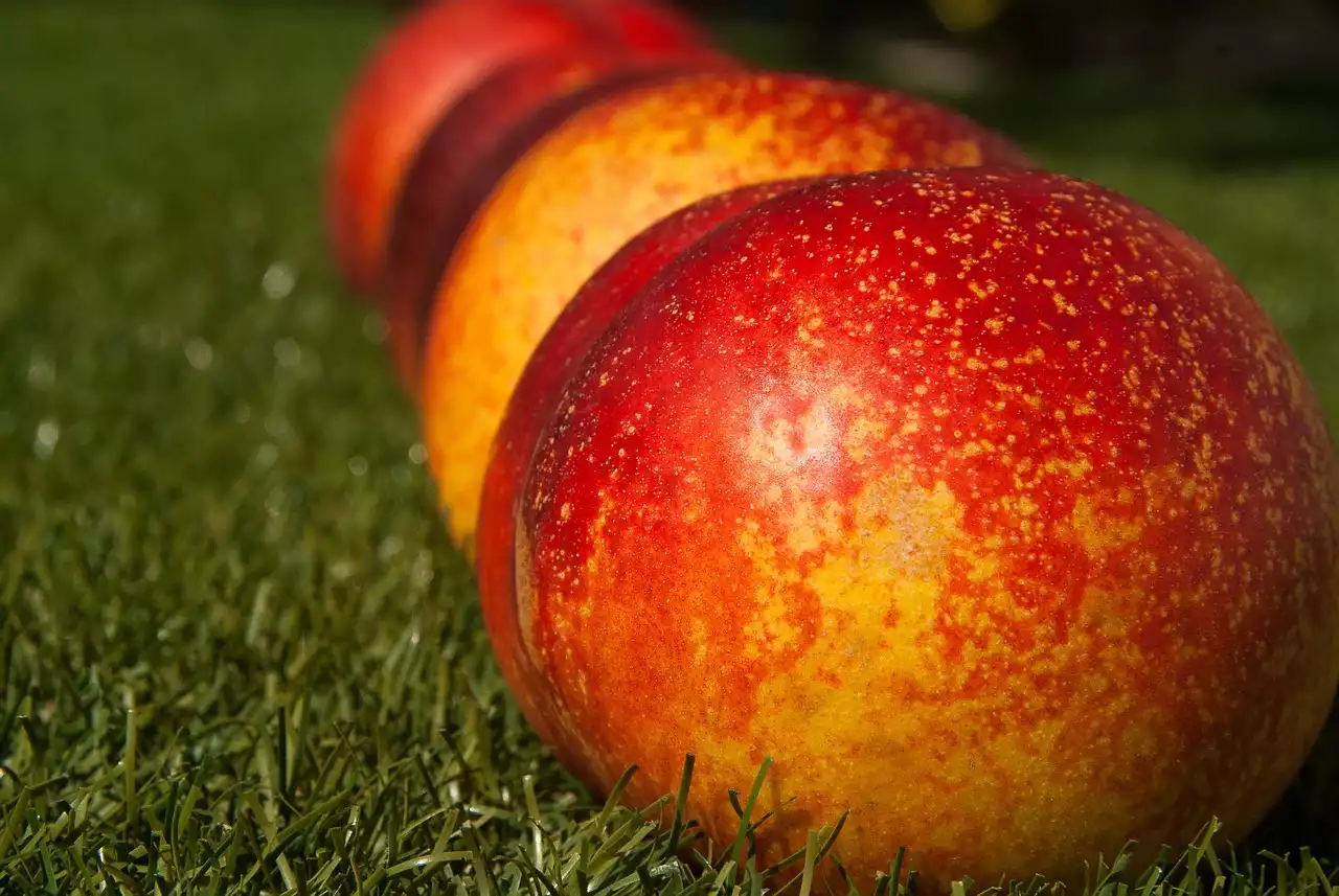 Técnicas de escaldado para frutas: cómo preparar duraznos, tomates y más